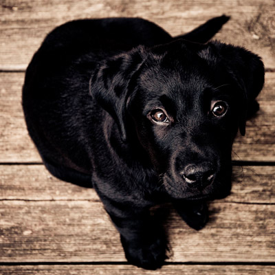 安卓ddos攻击工具