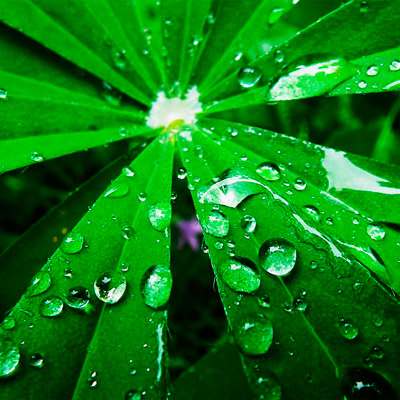 多语言支持的网站防ddos攻击